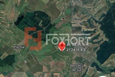 Teren agricol extravilan de 8600 mp, în Pișchia