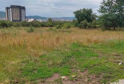 Teren intravilan Dr. D. Vechi , 1000 mp - 1