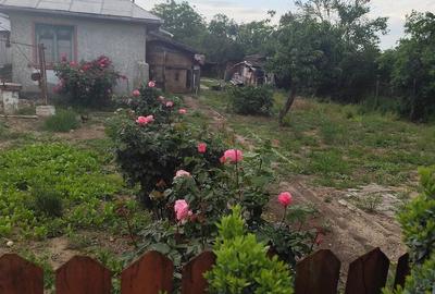 Teren în Valea Ursoii - 3