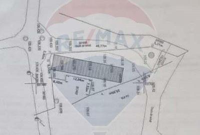 Teren 721mp Vladimirescu / Strada Augusta, pentru investitie - 11