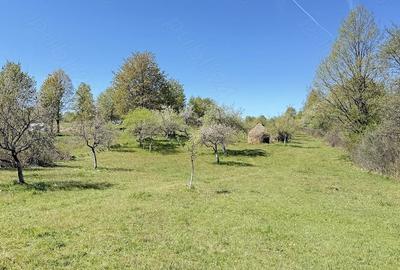 Teren de 4193 mp, în Breb - 4