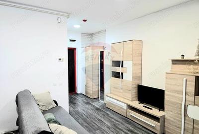 Apartament cu 2 camere semidecomandat, mobilat în Micălaca - 6