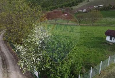 Teren agricol extravilan de 3826 mp, în Moldovenești - 2