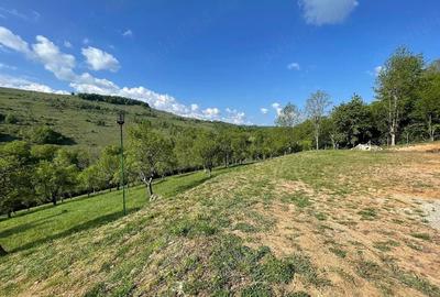 Casă cu Teren 15000 Mp în Bătrâna - 2