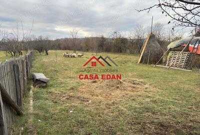 Teren intravilan in Brebu--2080mp--22e - 5