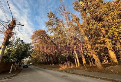 Teren intravilan - vanzare - Colentina - Padurea Andronache - 5