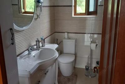 Casă cu 5 camere cu Teren 1132 Mp în Cisnădioara - 6