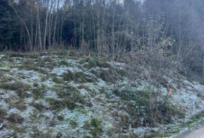 Teren de 19984 mp, în Mănăstirea Humorului - 4