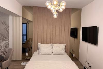 Garsoniera premium | Muncii | Calarasilor | Matei Basarab | Piscina -Sala fitnes - 3