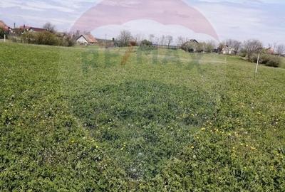 Teren Construcții intravilan de 6574 mp, în Leș - 4