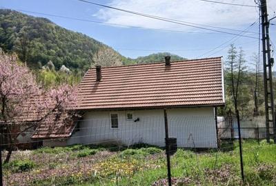Casă cu 3 camere în Nojag - 6