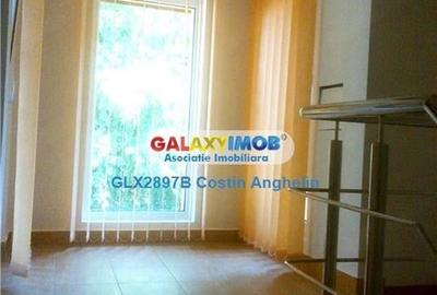 Inchiriere Vila 4 Camere - Mosilor - 5