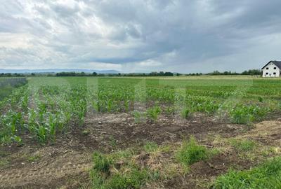 Teren de 4900 mp, în Central - 5