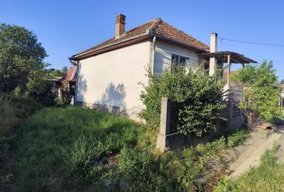 Casă cu 4 camere cu Teren 5000 Mp în Central - 1