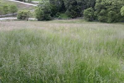 Casă cu 6 camere cu Teren 17846 Mp în Central - 2