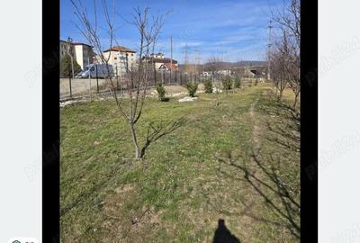 Teren de 2300 mp, în Nord - 3