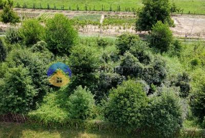 Teren intravilan com. Alexandru cel Bun- Viisoara - 5