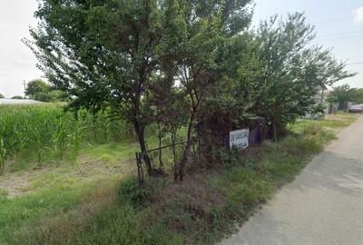 Teren de 2500 mp, în Puchenii Mari - 1