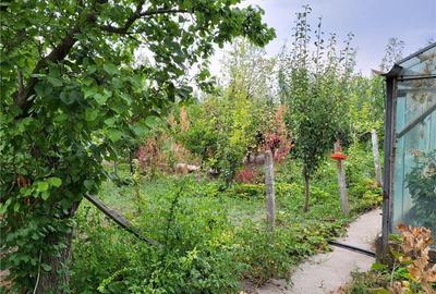 Casă cu 5 camere în Jimbolia - 3