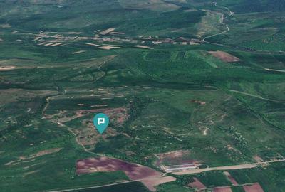 Teren de 195 Hectare Arabil in Cincu, Bra?ov - 3