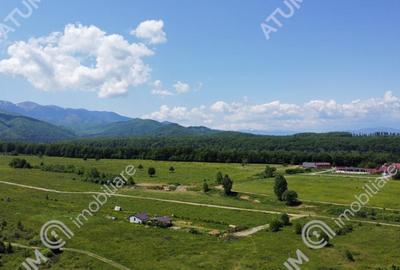 Teren intravilan 1000 mp de pe Valea Avriguluiu - 3