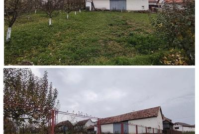 Casă cu 2 camere cu Teren 140 Mp în Bucerdea Grânoasă - 4