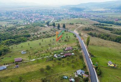 Teren Investitie- 1730 mp-Cabana construita 60 mp - 10