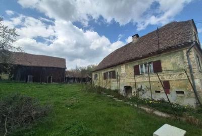 Casă cu 3 camere cu Teren 4000 Mp în Vurpăr - 4