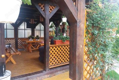 Casă cu 6 camere cu Teren 1560 Mp în Valea Doftanei - 3