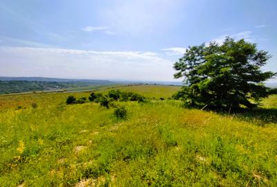 28.554 mp TEREN EXTRAVILAN, TURDA - SĂNDULEȘTI, jud. CLUJ, 300 m de AUTOSTRADA - 24