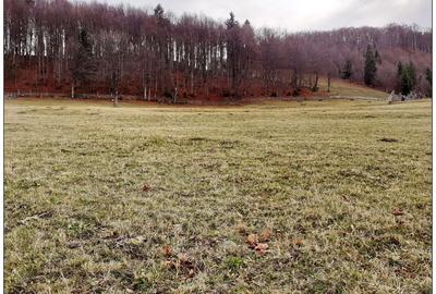 Teren Cu Priveliste Panoramica Si Acces Din Drumul Principal - 3