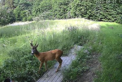 Casă cu 4 camere în Angofa - 7