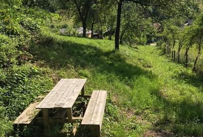 Teren de 1000 mp, în Băbana - 6