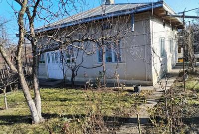 Casa de vanzare Dorohoi 228mp utili+718mp teren - 1