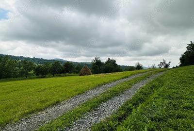 Casa ?i teren Varmaga Hunedoara - 4