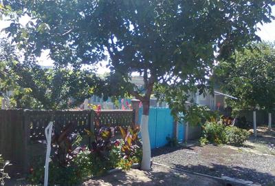 Casă cu Teren 1853 Mp în Sarichioi - 7