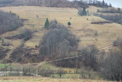 Teren agricol extravilan de 16400 mp, în Poiana Mărului - 3