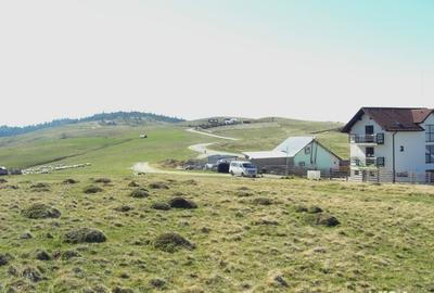 Teren de 10632 mp, în Paltin - 4