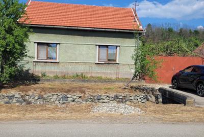 Casă cu 4 camere în Criciova