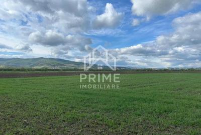 Teren de 1600 mp, în Oarda - 1