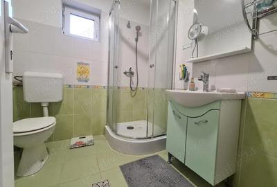 Casa individuala in zona Braytim, Timisoara - 9