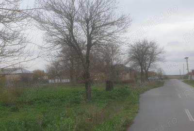 2(doua) teren intravilan in localitatea Giurgi?a, judetul Dolj. 2(doua) teren intravilan in localitatea Giurgi?a, judetul Dolj. - 10