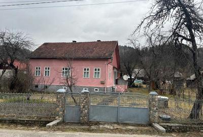 Casă cu 4 camere în Avram Iancu - 1