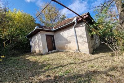 Resita Casa cu Teren privat 4670 Mp. - 11