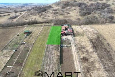 Teren de 10000 mp, în Gușterița - 3