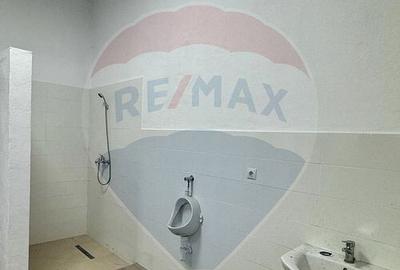 DE VANZARE sau INCHIRIERE renovata cu pod rulant - 10