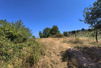 Teren de 15090 mp, în Saca - 7