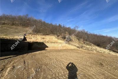 Teren intravilan de 1641 mp cu PUZ aprobat si utilitati in Cisnadioara - 2