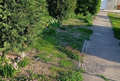 Casă individuală cu 3 camere cu Teren 150 Mp în Vulturu - 10