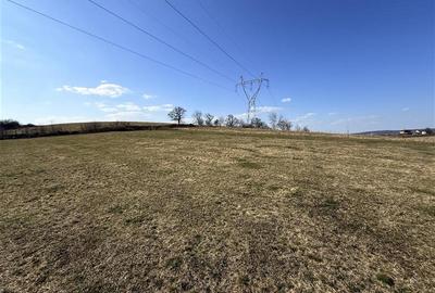 Teren intravilan de 2570 mp, în Săliștea Nouă - 4